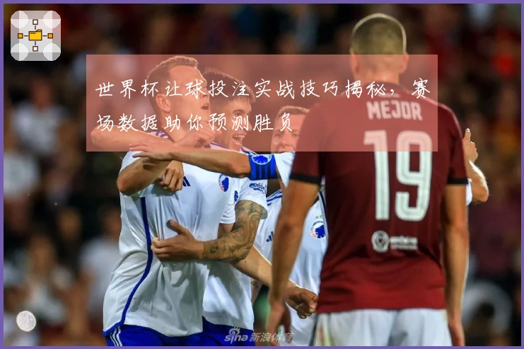 世界杯让球投注实战技巧揭秘，赛场数据助你预测胜负