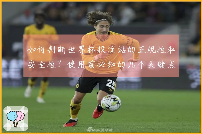 如何判断世界杯投注站的正规性和安全性？使用前必知的几个关键点