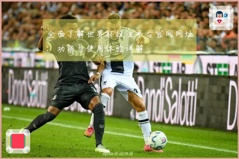 全面了解世界杯投注平台官网网址：功能与使用体验详解