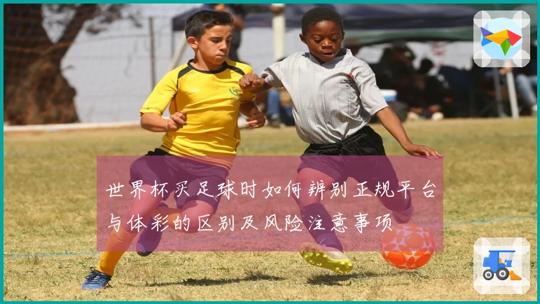 世界杯买足球时如何辨别正规平台与体彩的区别及风险注意事项