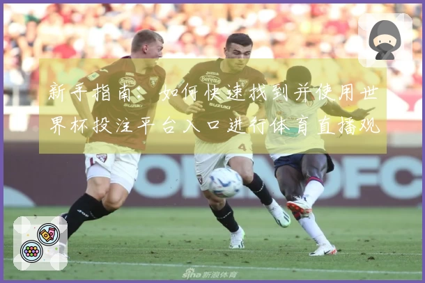 新手指南：如何快速找到并使用世界杯投注平台入口进行体育直播观看