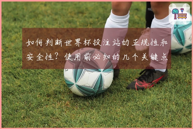 如何判断世界杯投注站的正规性和安全性?使用前必知的几个关键点