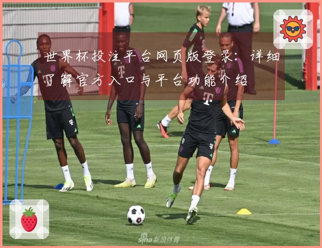 世界杯投注平台网页版登录：详细了解官方入口与平台功能介绍