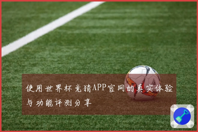 使用世界杯竞猜APP官网的真实体验与功能评测分享