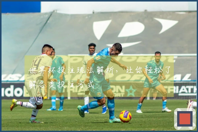世界杯投注玩法解析,让你轻松了解各类投注方式