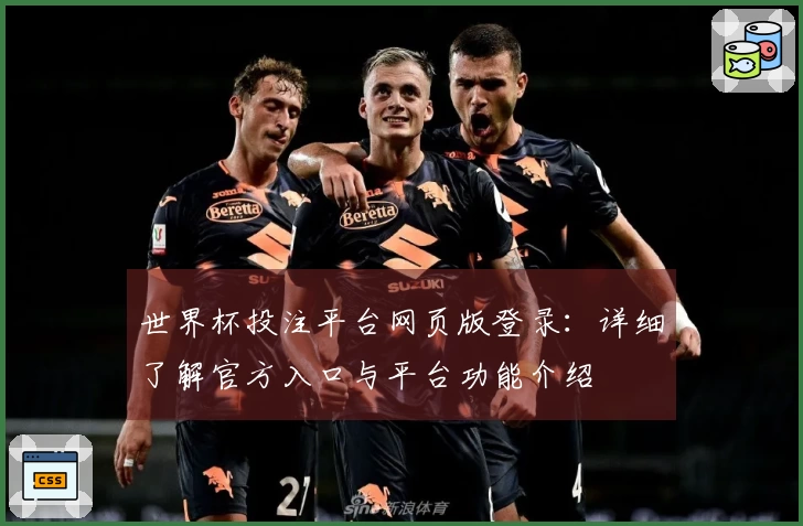 世界杯投注平台网页版登录：详细了解官方入口与平台功能介绍