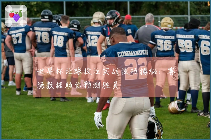 世界杯让球投注实战技巧揭秘,赛场数据助你预测胜负