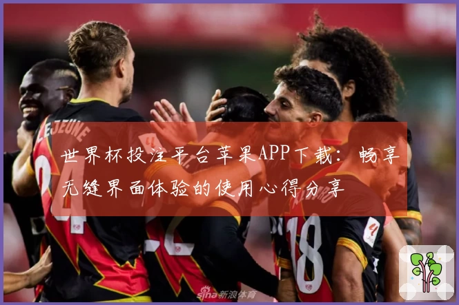 世界杯投注平台苹果APP下载：畅享无缝界面体验的使用心得分享
